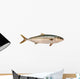 Yellowtail Tuna Wall Decal