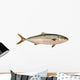 Yellowtail Tuna Wall Decal