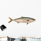 Yellowtail Tuna Wall Decal