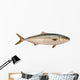 Yellowtail Tuna Wall Decal