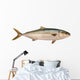 Yellowtail Tuna Wall Decal