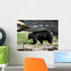 Black Bear Wall Mural