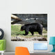 Black Bear Wall Mural