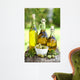 Olive Oil