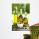 Olive Oil