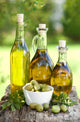 Olive Oil