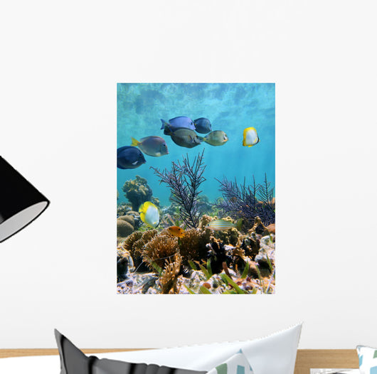 Seabed Mirror