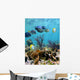 Seabed Mirror