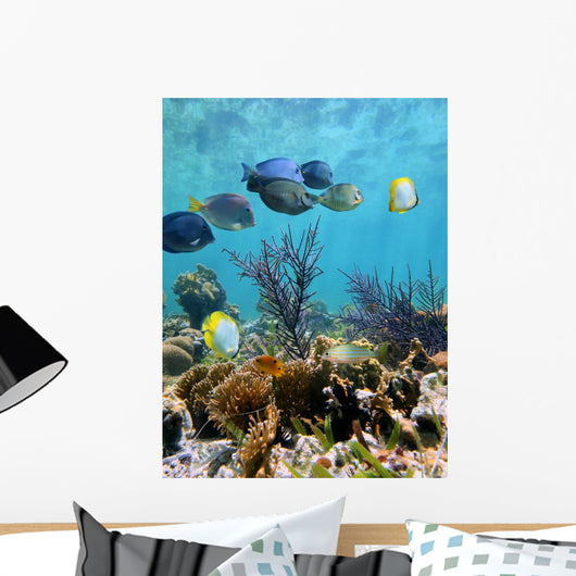 Seabed Mirror