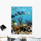 Seabed Mirror