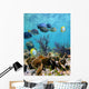 Seabed Mirror