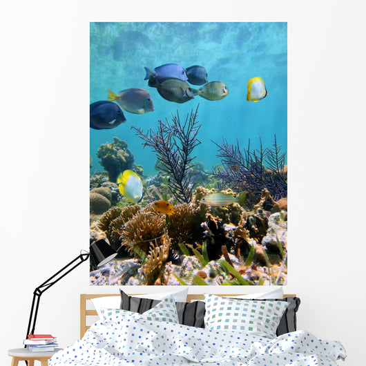 Seabed Mirror