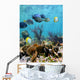Seabed Mirror