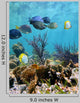 Seabed Mirror