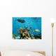 Underwater Form and Sea