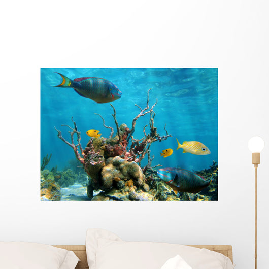 Underwater Form and Sea