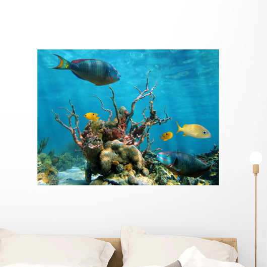 Underwater Form and Sea