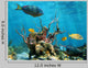 Underwater Form and Sea