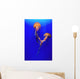 Beautiful Jellyfish Wall Mural