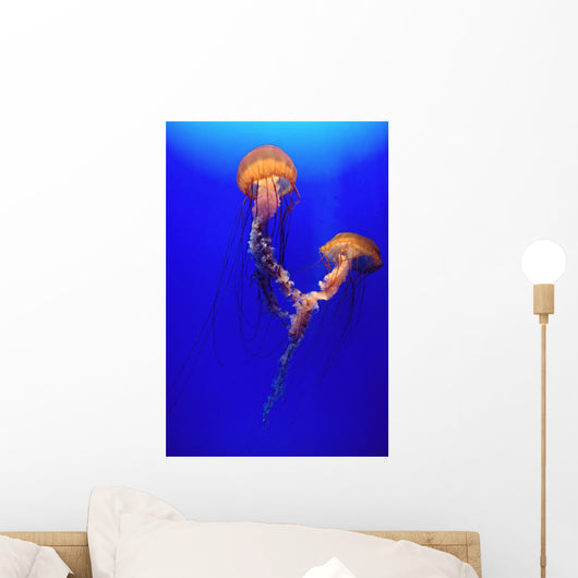 Beautiful Jellyfish Wall Mural