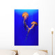 Beautiful Jellyfish Wall Mural