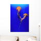 Beautiful Jellyfish Wall Mural