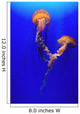 Beautiful Jellyfish Wall Mural