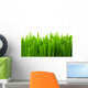 Fresh Green Wheat Grass Wall Decal