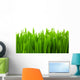 Fresh Green Wheat Grass Wall Decal