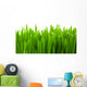 Fresh Green Wheat Grass Wall Decal