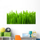 Fresh Green Wheat Grass Wall Decal