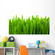 Fresh Green Wheat Grass Wall Decal