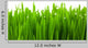 Fresh Green Wheat Grass Wall Decal