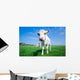 Cute Baby Cow Wall Decal