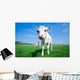Cute Baby Cow Wall Decal