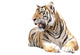 Tiger Sit Wall Decal