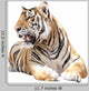 Tiger Sit Wall Decal