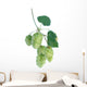 Hops Wall Decal