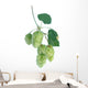 Hops Wall Decal