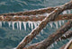 Boat Rope Wall Decal