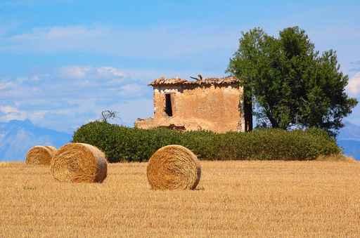 Cabanon Provence Wall Decal