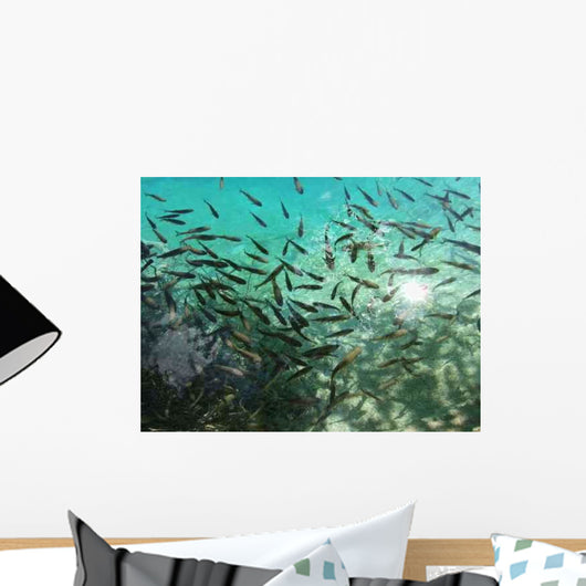 Plitvicer Seen Iii Wall Decal