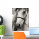 Horse Sepia Wall Decal