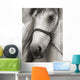 Horse Sepia Wall Decal