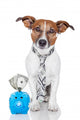 Dog with Piggy Bank Wall Decal