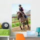Lovely Girl Is Riding Wall Decal