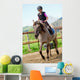 Lovely Girl Is Riding Wall Decal