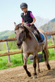 Lovely Girl Is Riding Wall Decal