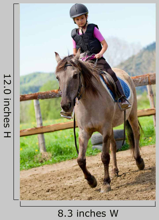 Lovely Girl Is Riding Wall Decal