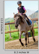 Lovely Girl Is Riding Wall Decal